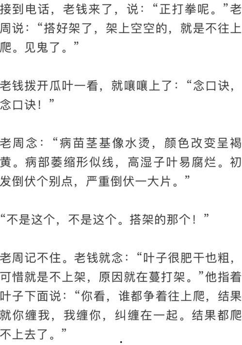 《吃瓜功德》全文,揭秘网络舆论背后的道德与伦理