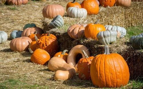 一库吃瓜,揭秘娱乐圈那些不为人知的幕后故事