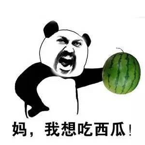 吃瓜能续命,揭秘如何用“吃瓜”续命的秘密